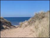 P� v�g till stranden.